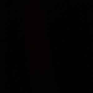 Meet your Posher, Jayda